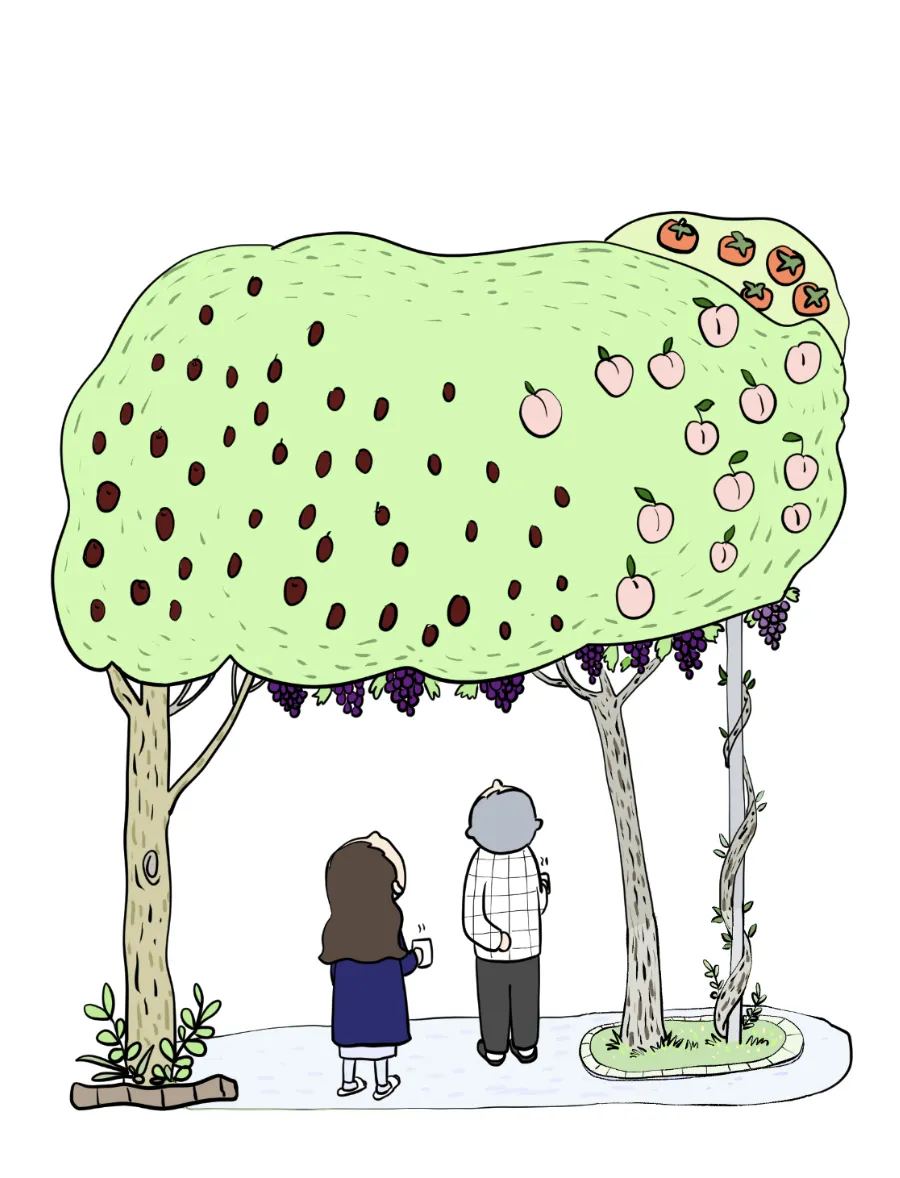 이미지 11