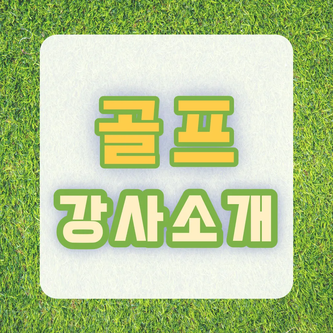 포트폴리오 이미지