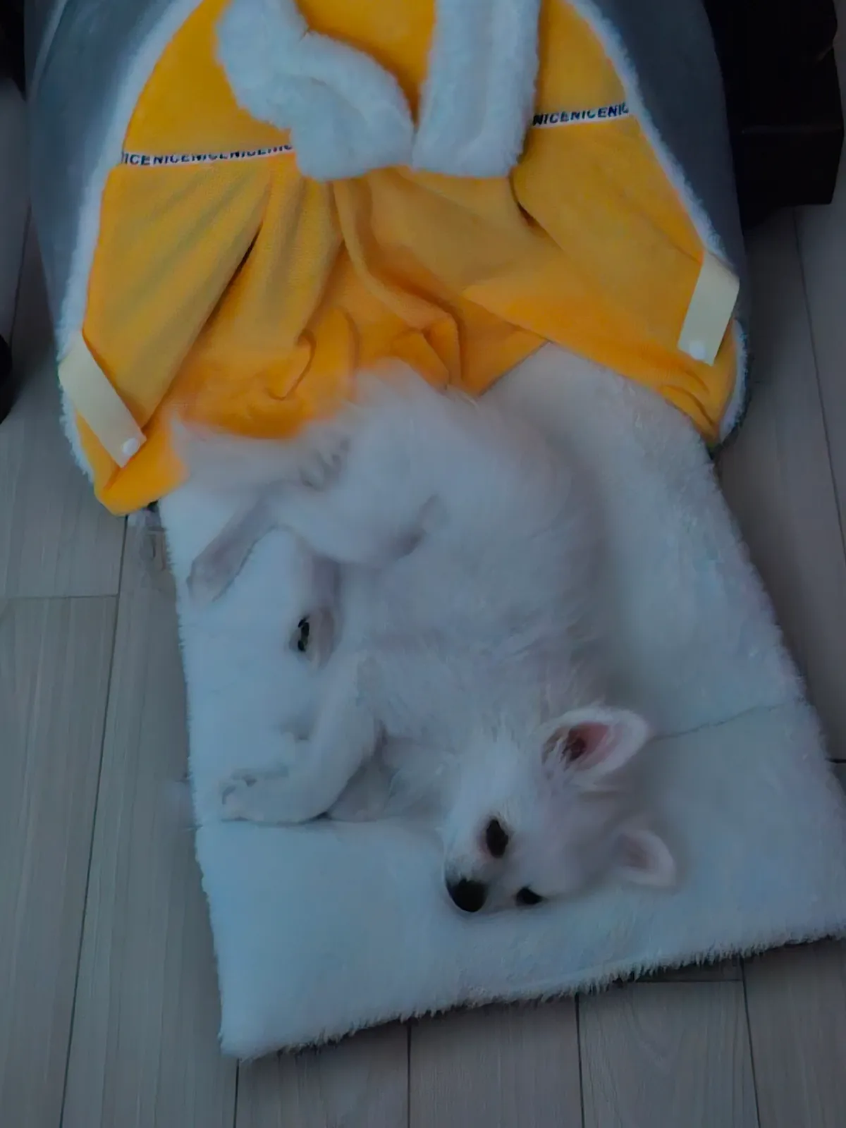 이미지 3