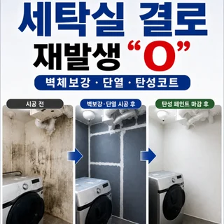 세탁실 고질적 곰팡이, 단 한 번의 시공으로 결로 재발생 0% 완성!