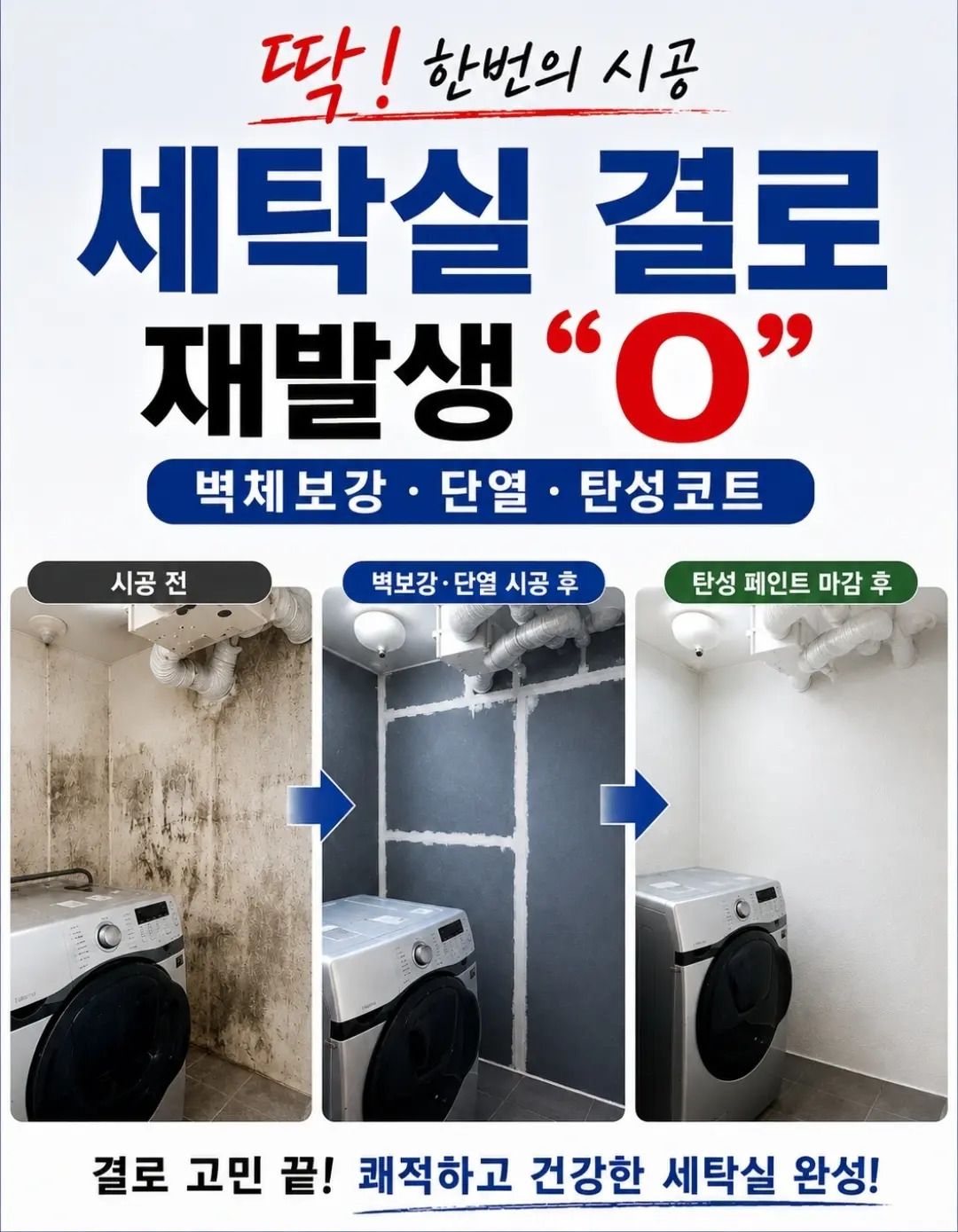 이미지 12