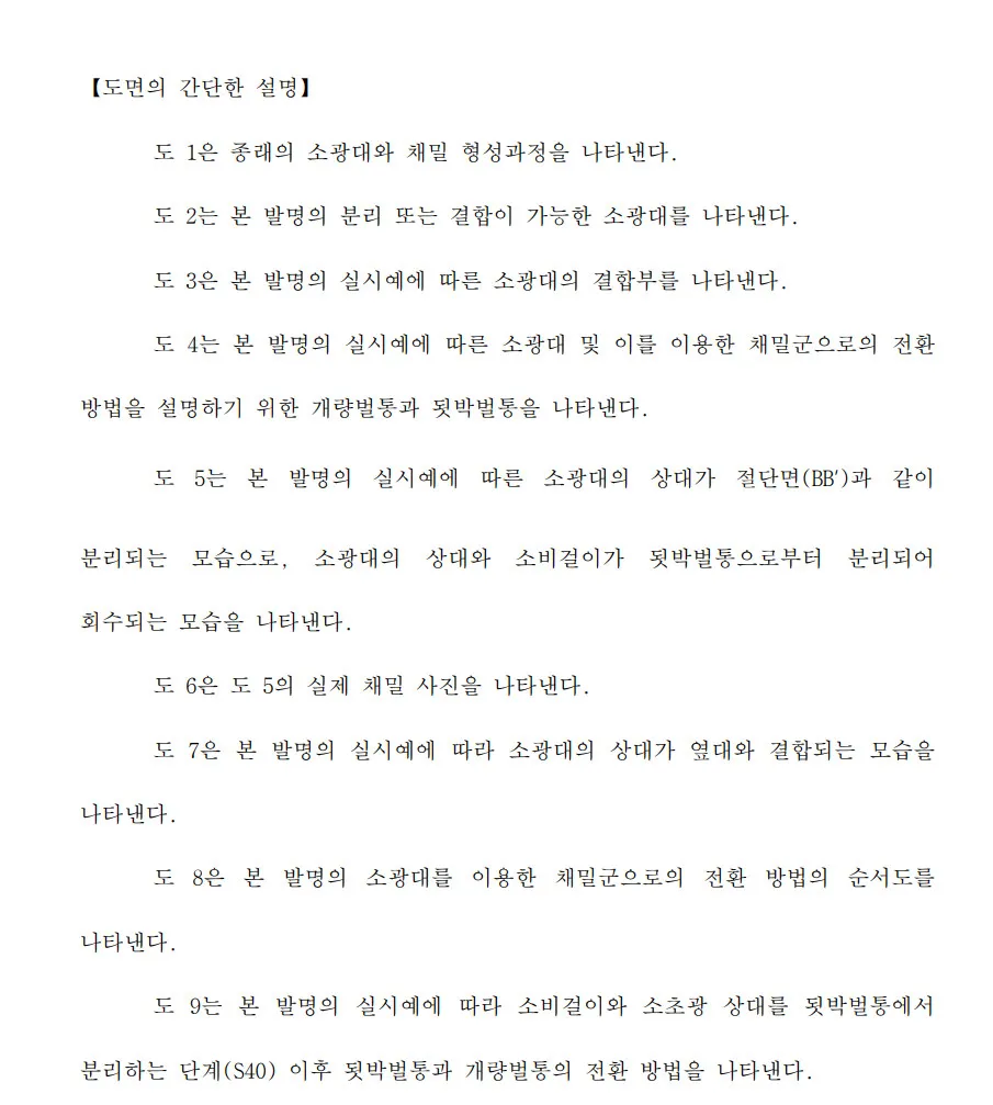 이미지 6