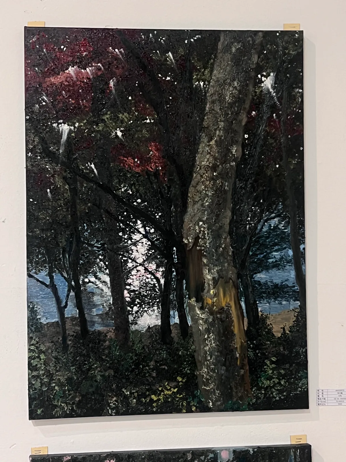 이미지 4