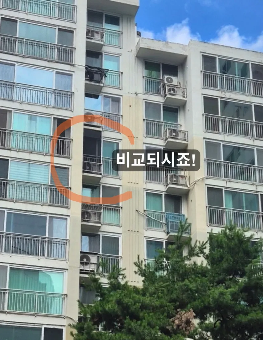 이미지 12