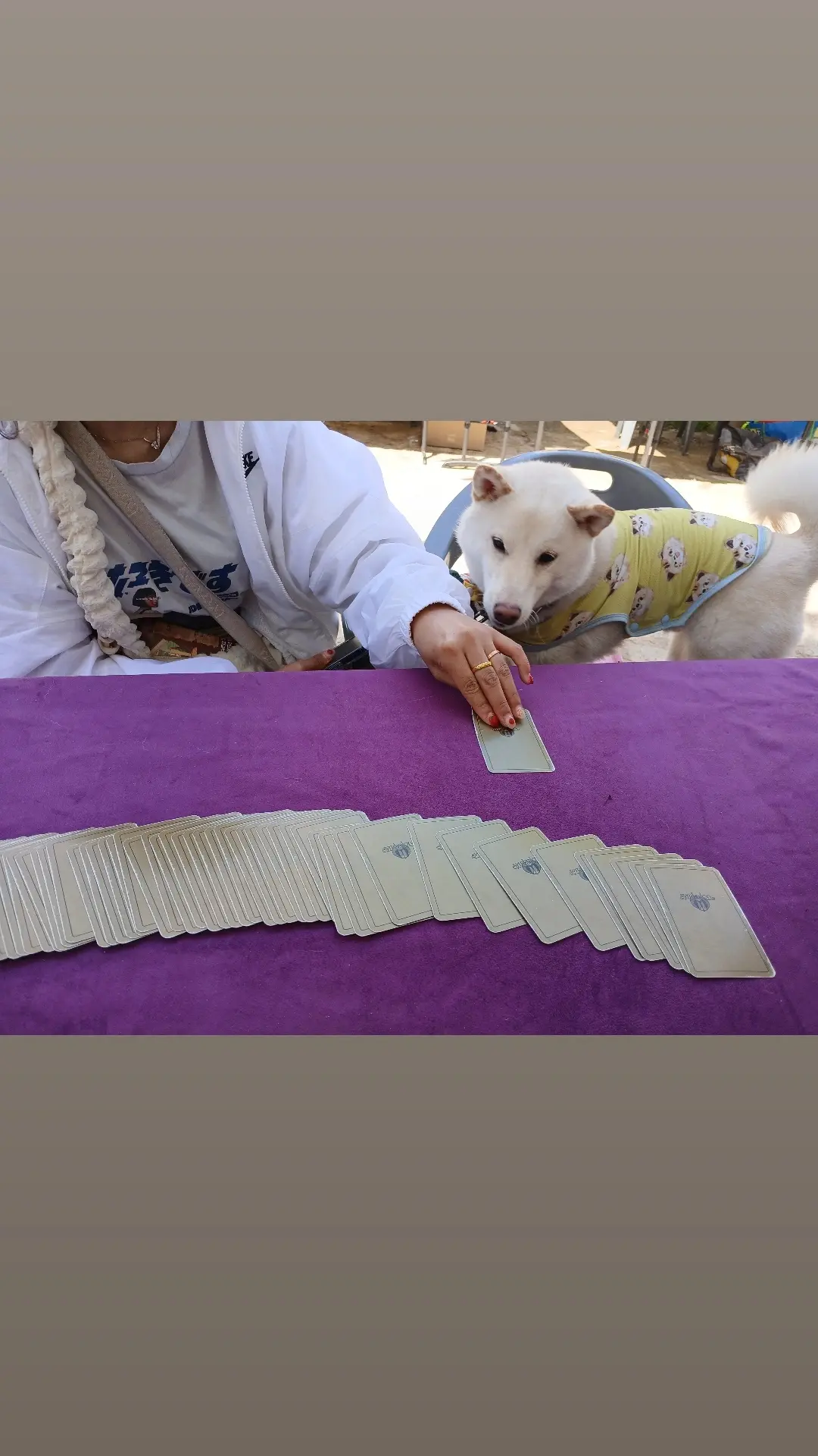 이미지 6