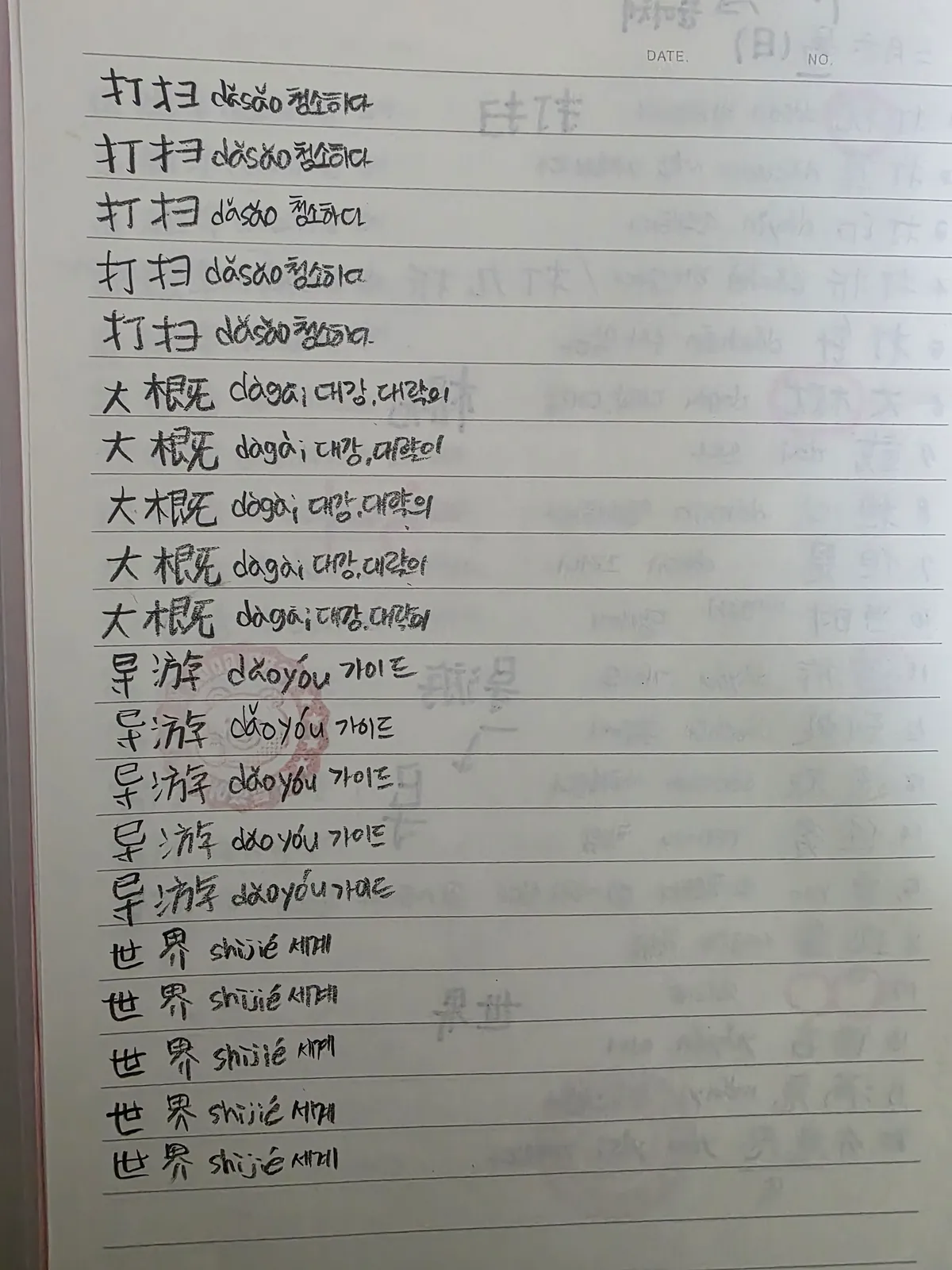 이미지 12