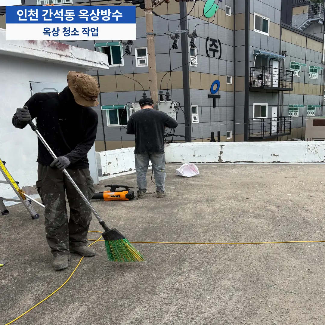 이미지 8