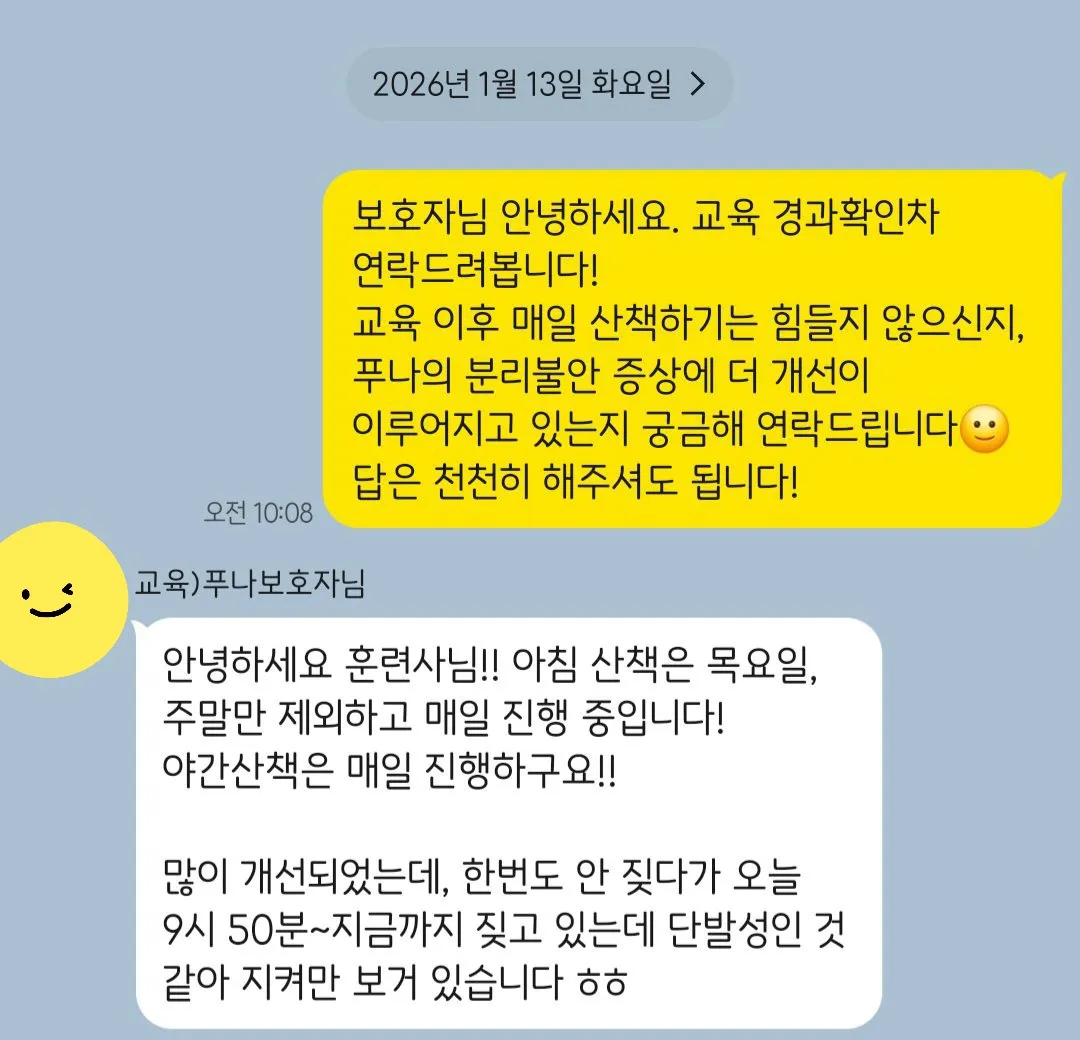 이미지 4