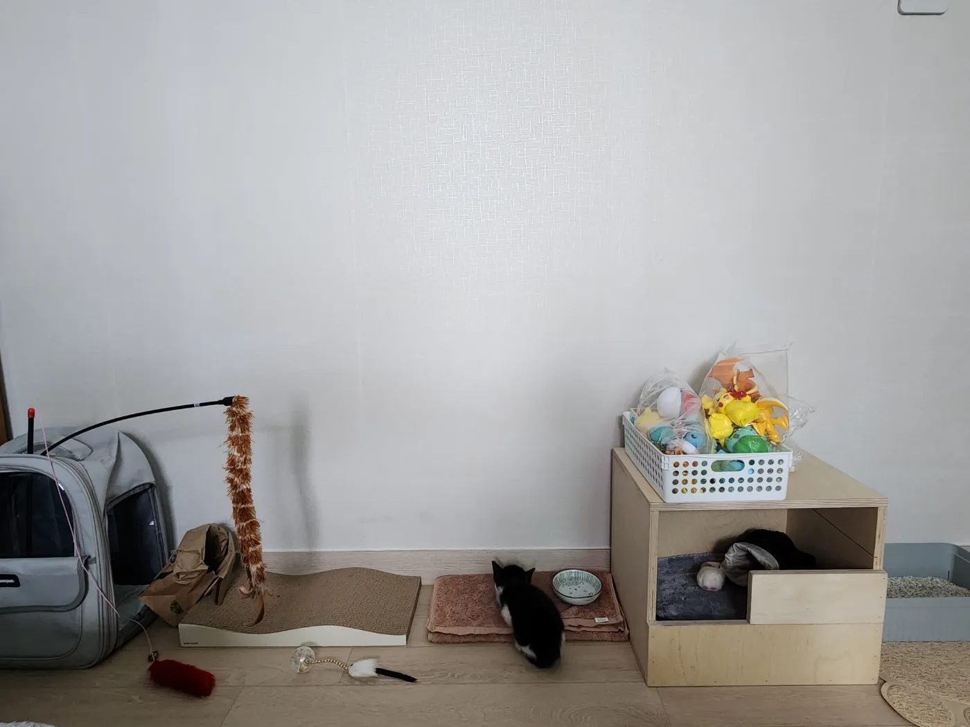 이미지 8