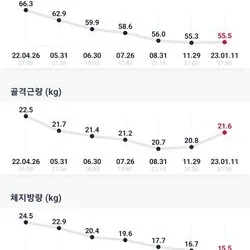 비포&에프터