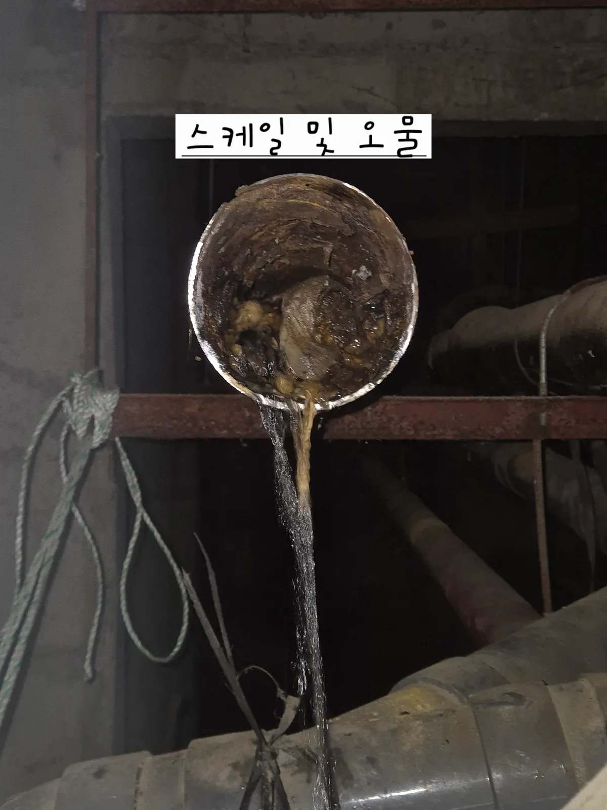 이미지 4