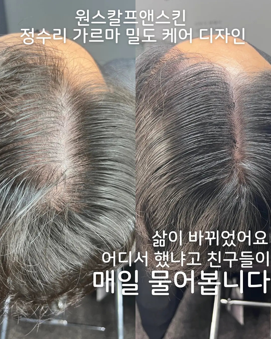 이미지 5