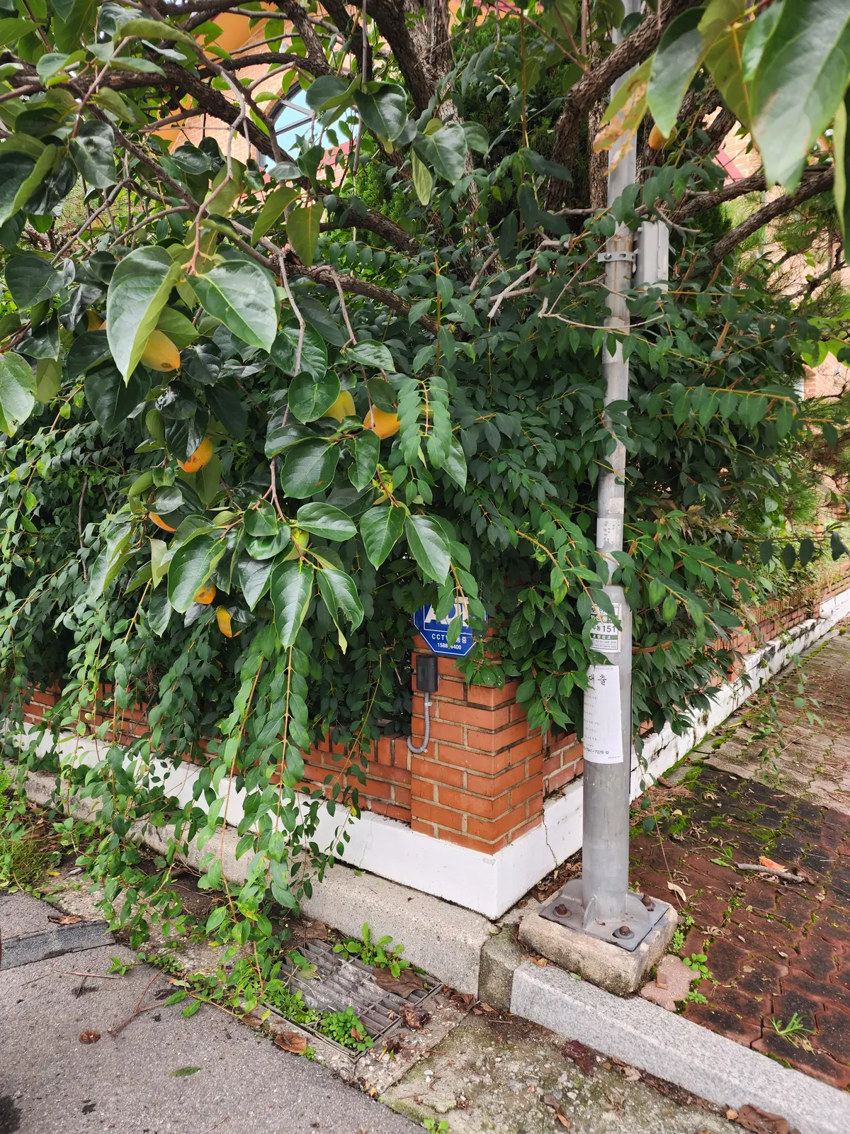 이미지 4