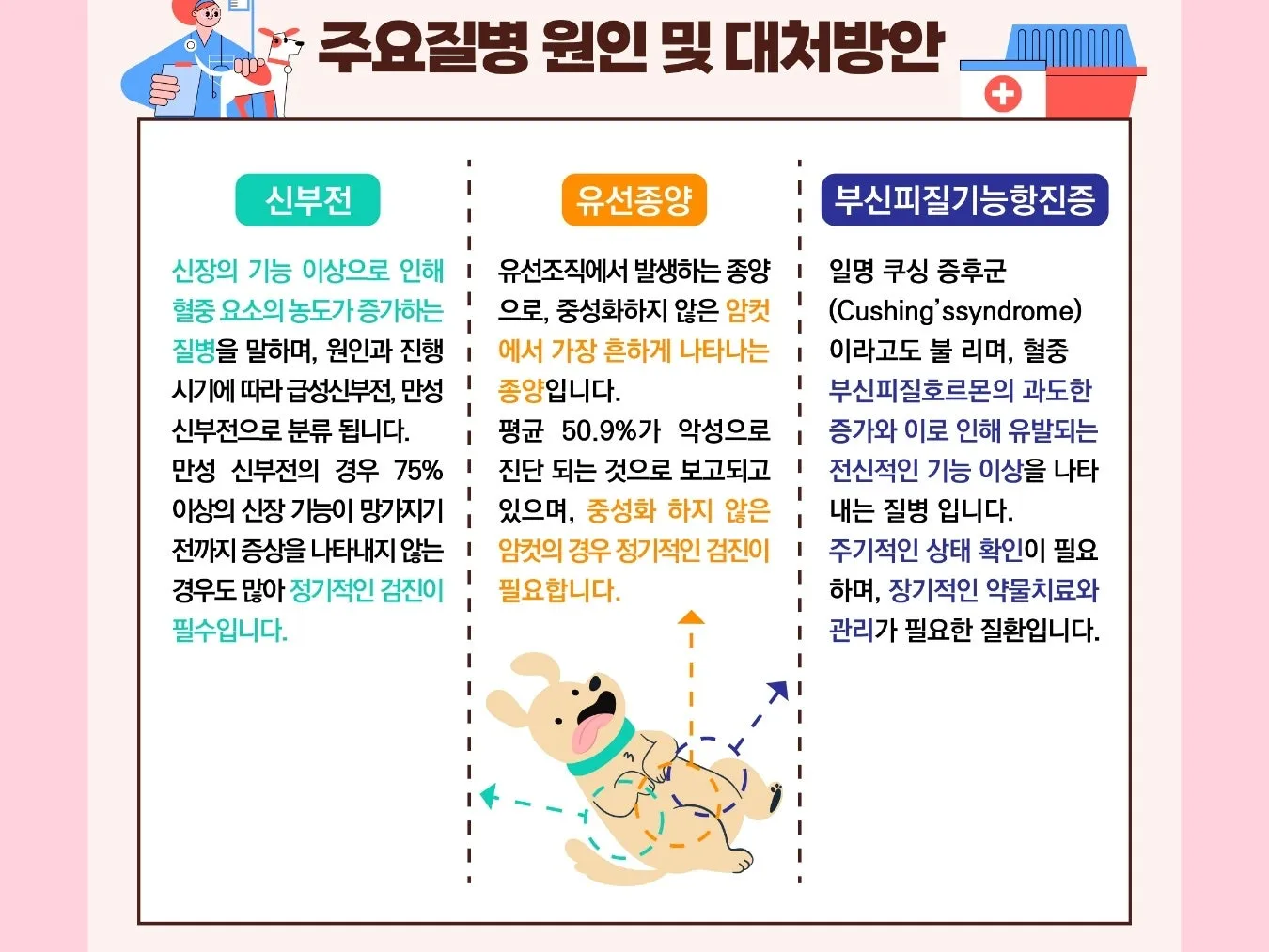이미지 7