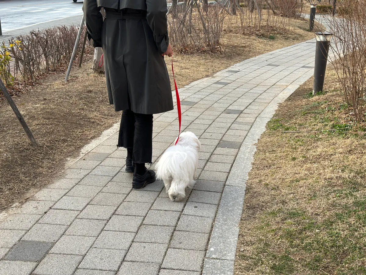 이미지 5