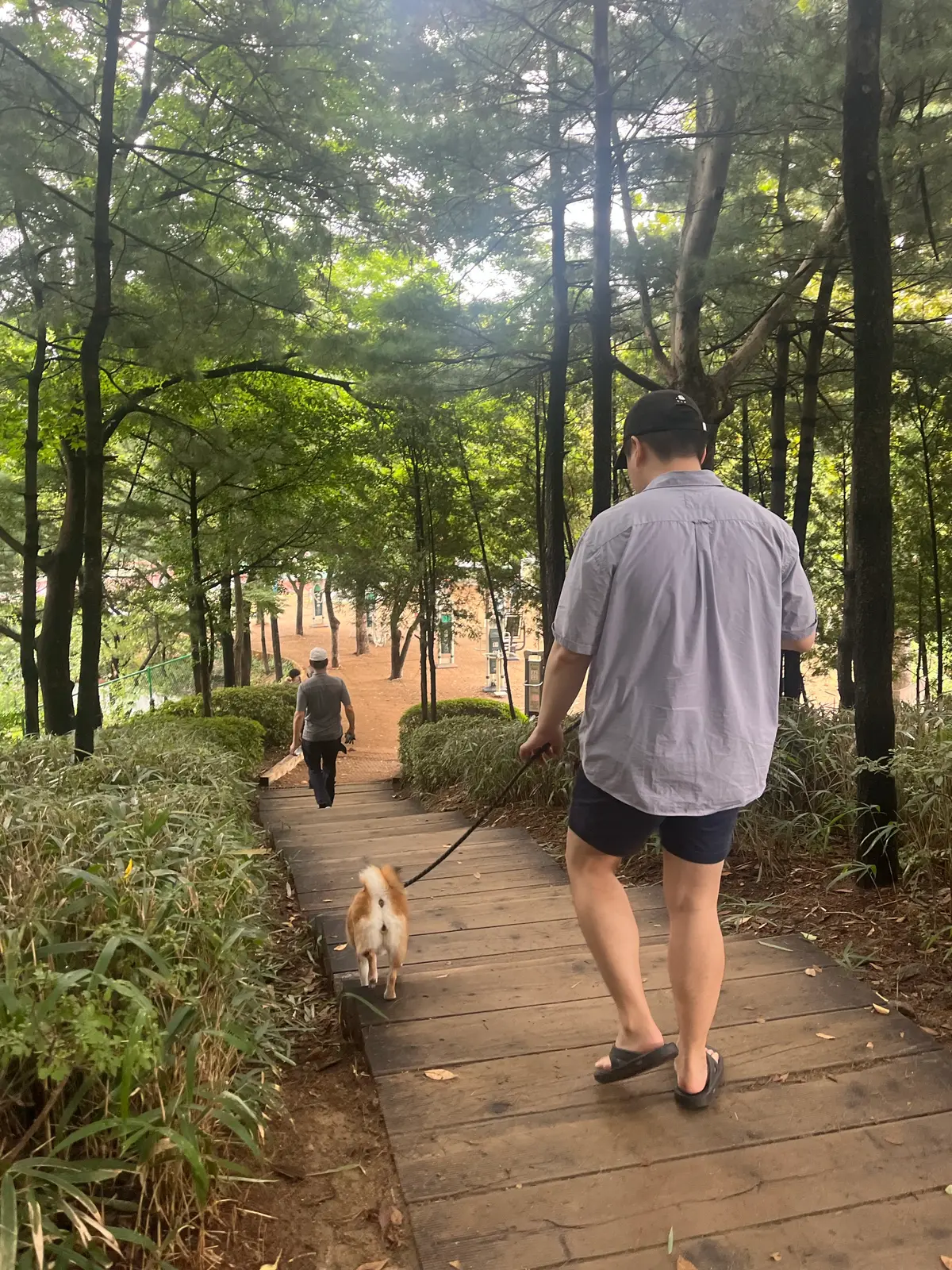 이미지 4