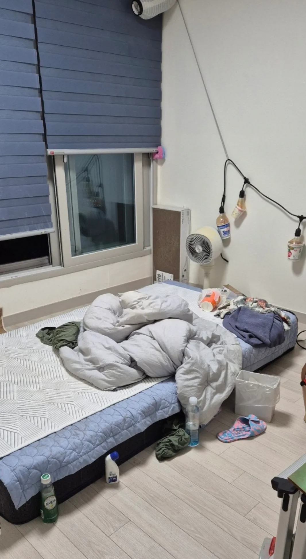 이미지 8