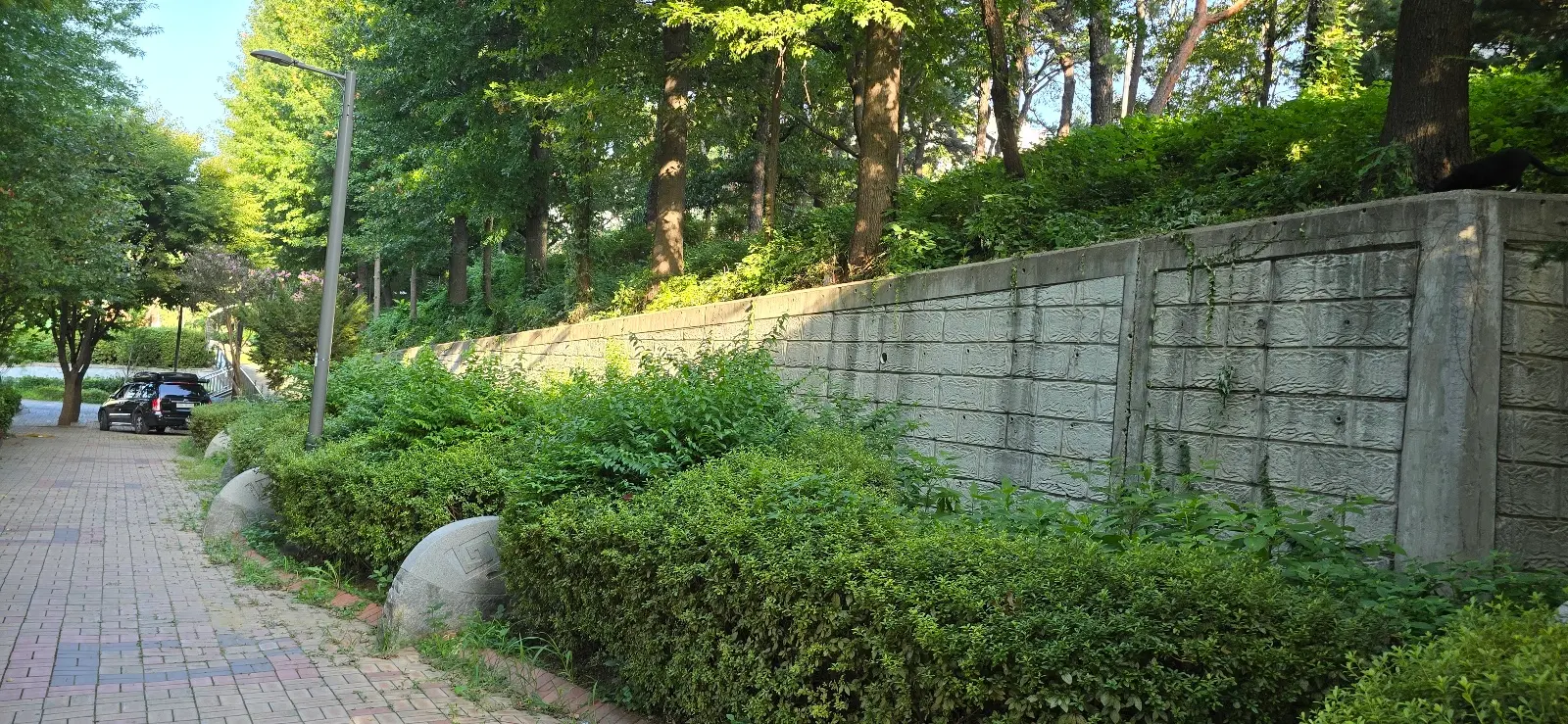 이미지 3