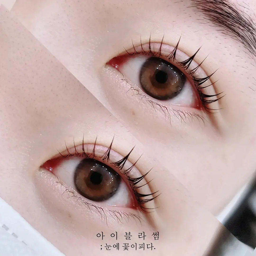 이미지 12