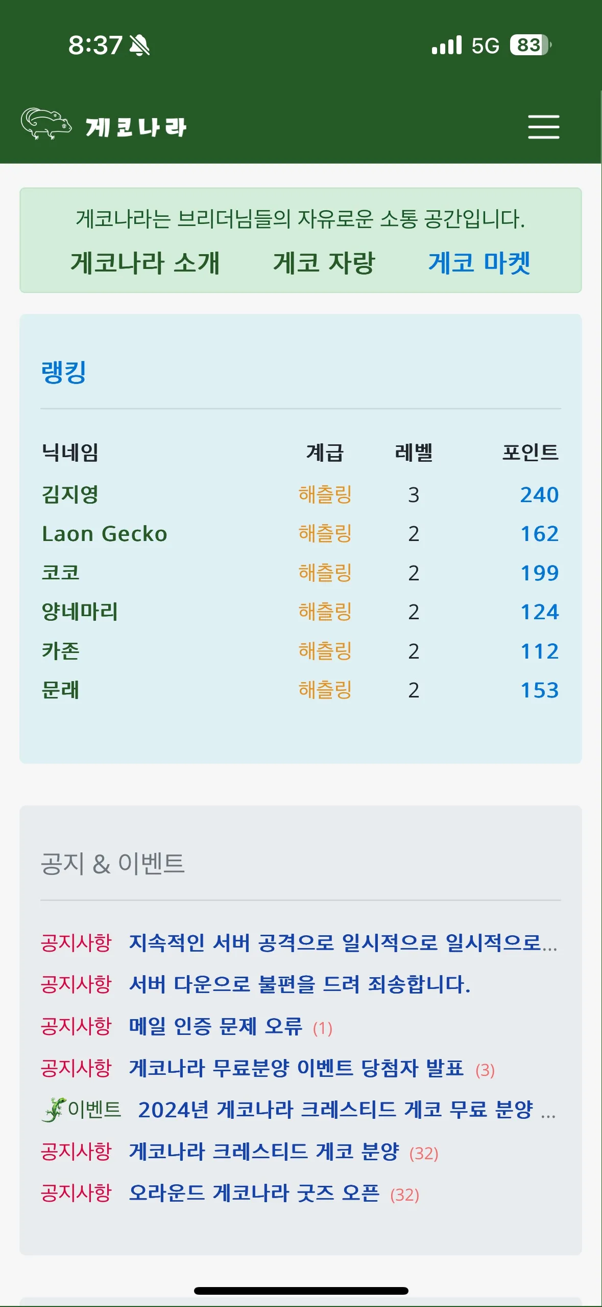 포트폴리오 이미지