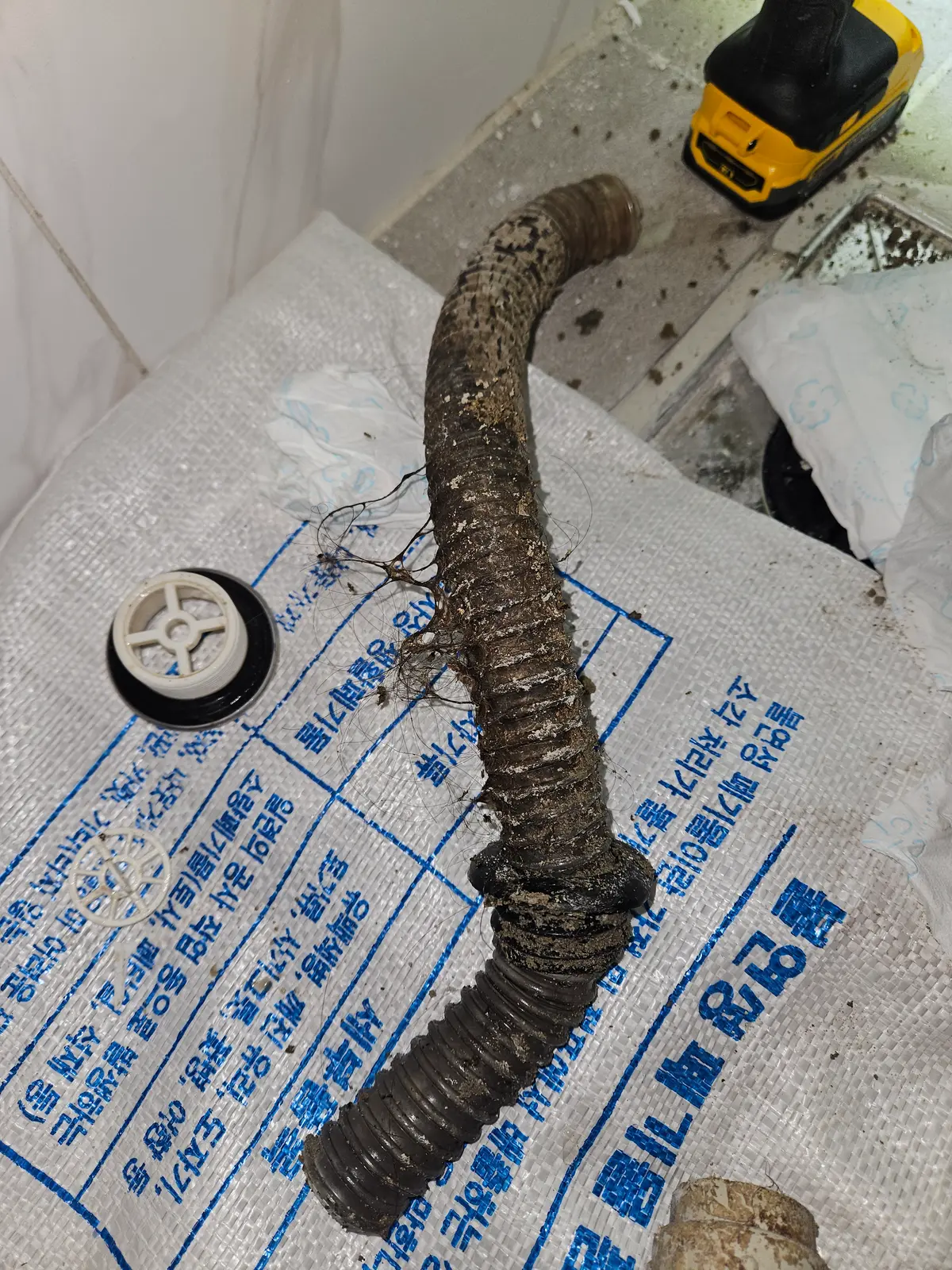 이미지 5