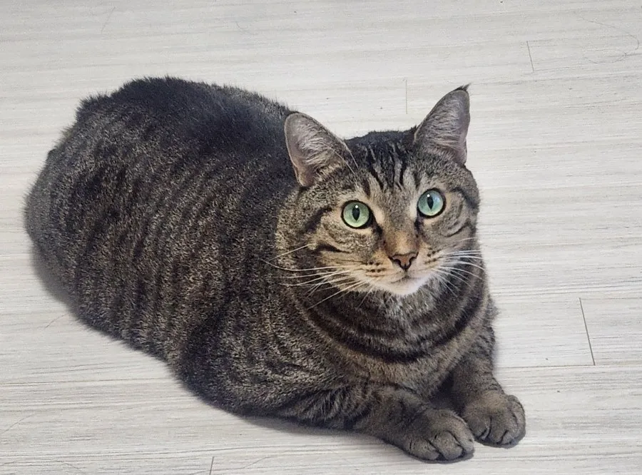 이미지 8
