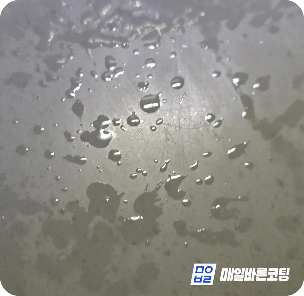 이미지 8