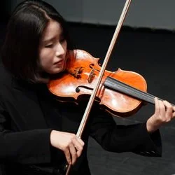 바이올린 사진