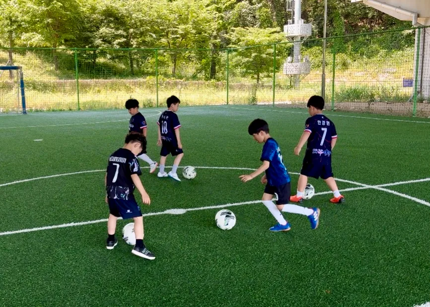 이미지 3
