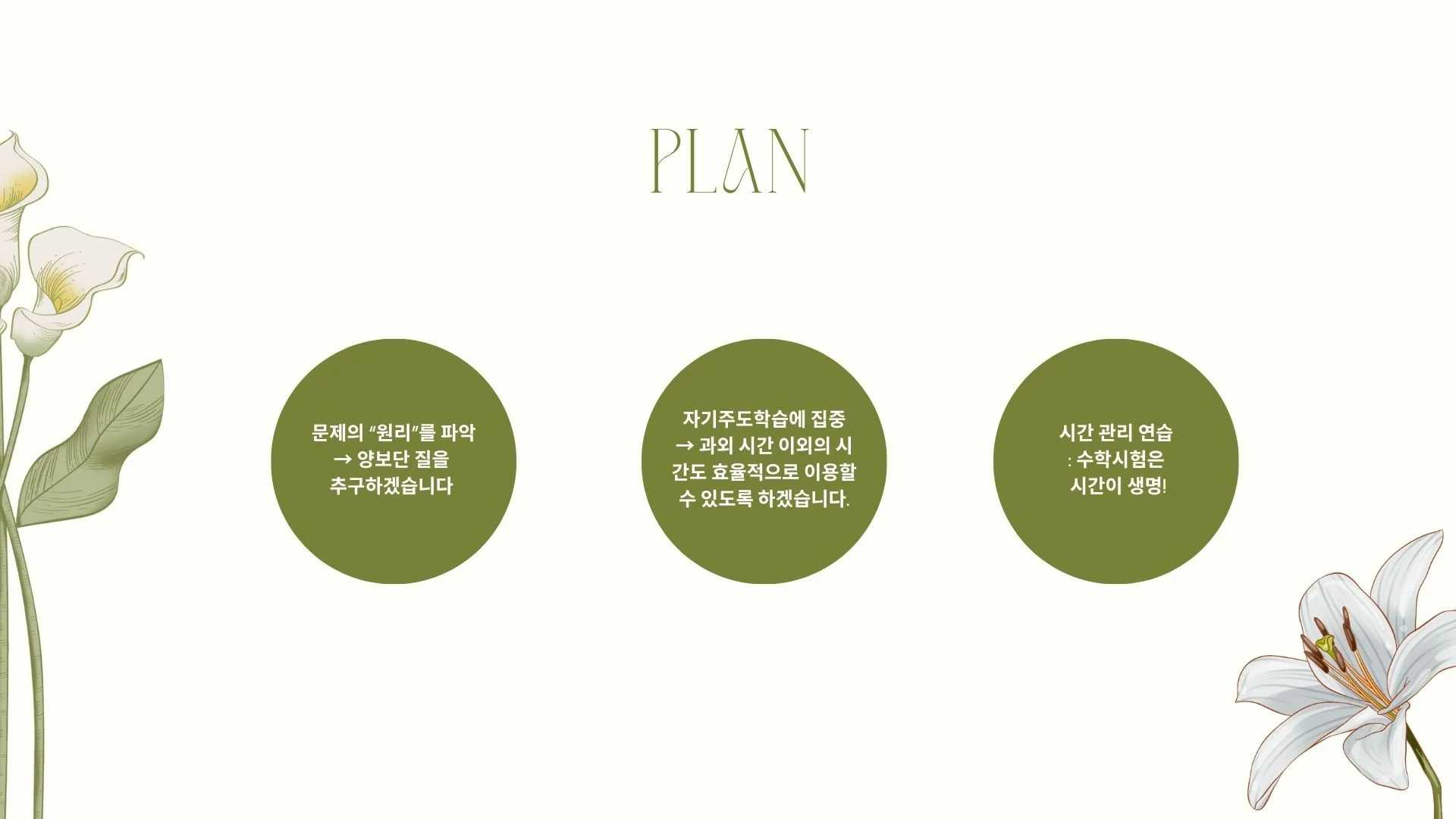 이미지 11