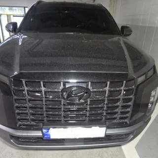 팰리세이드 개인간 거래 중고차 구매동행 