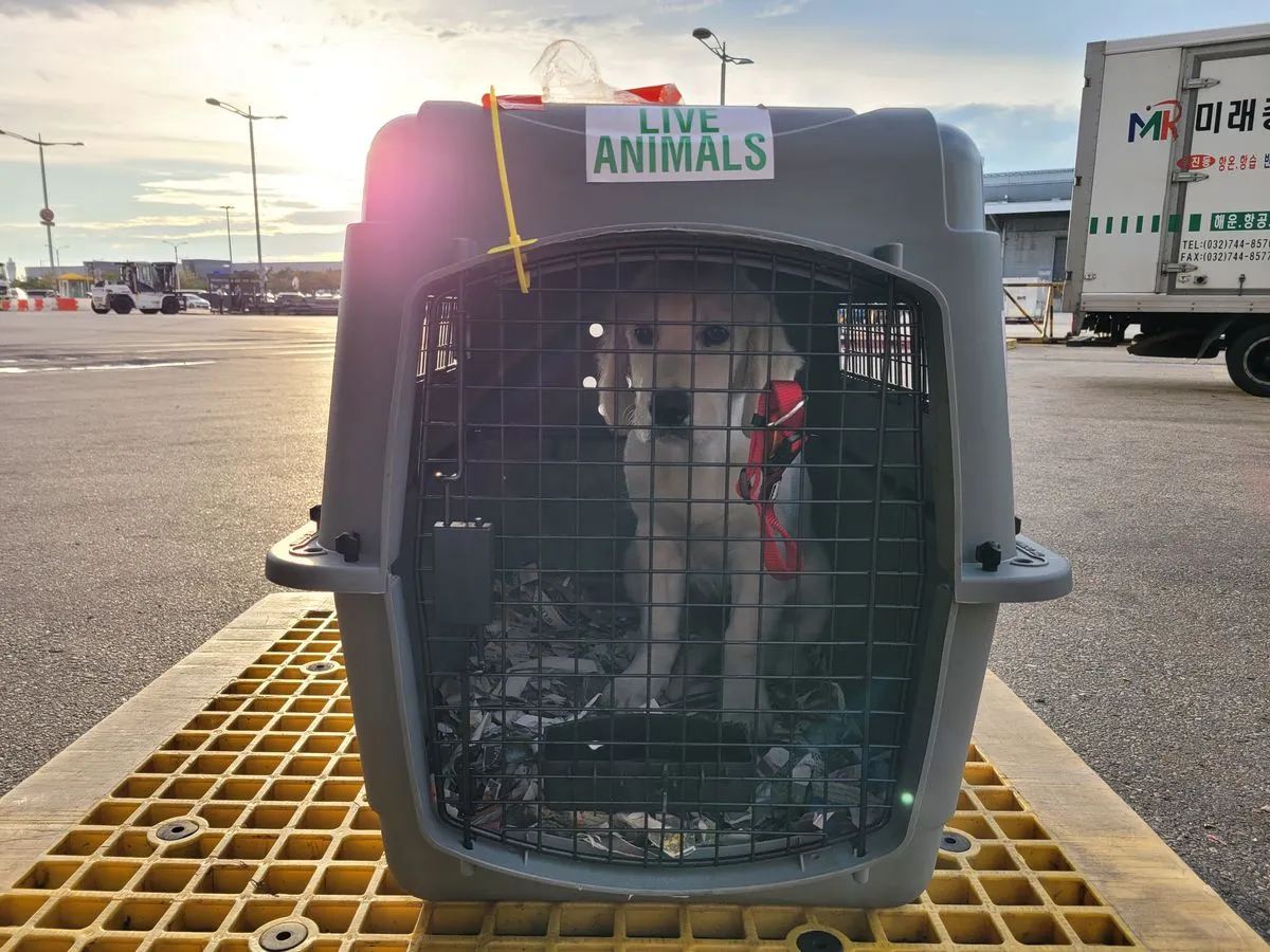 포트폴리오 대표 이미지