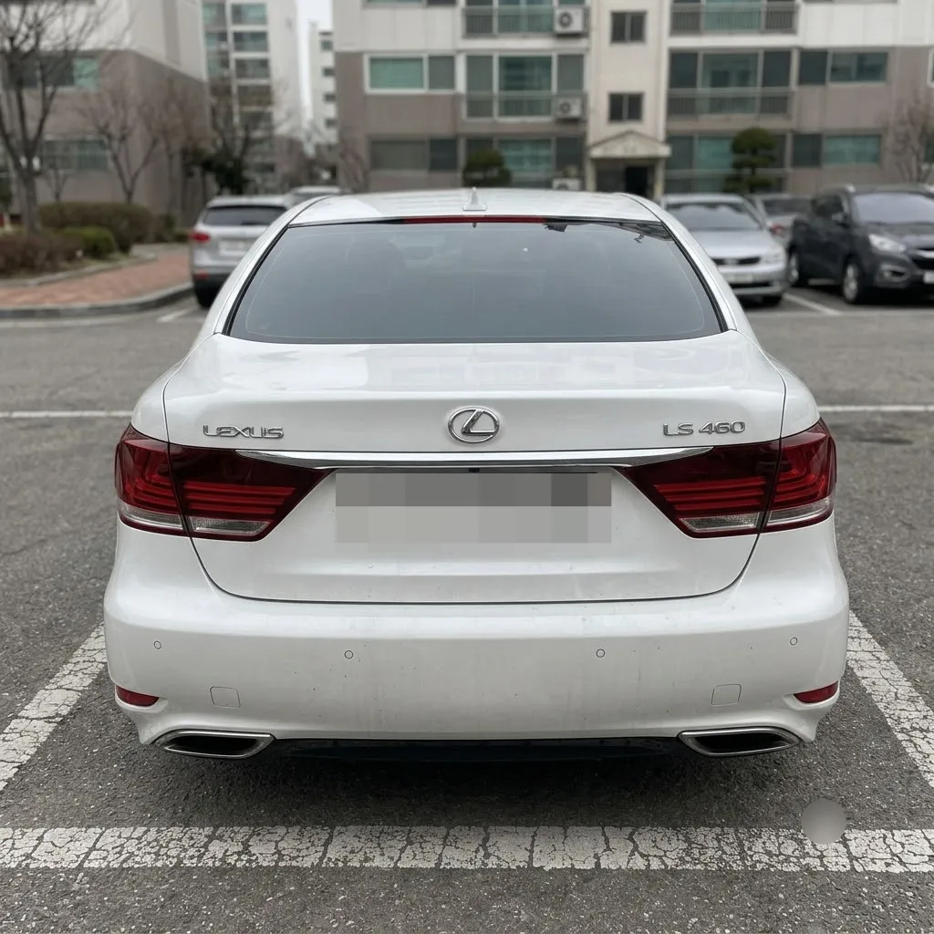 이미지 6