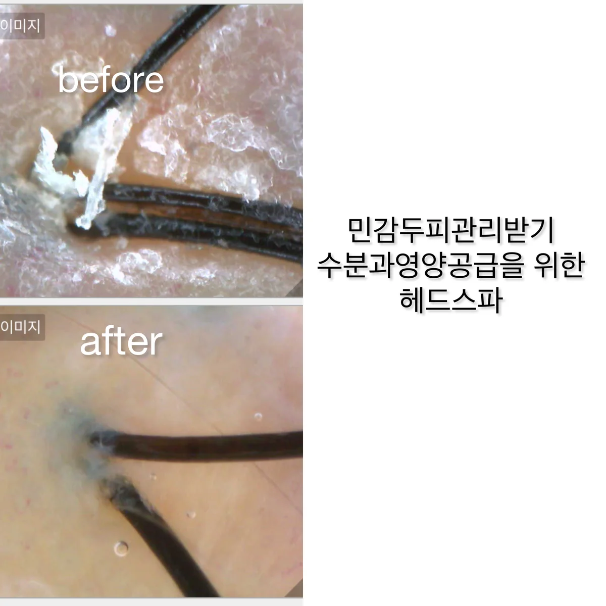 이미지 4