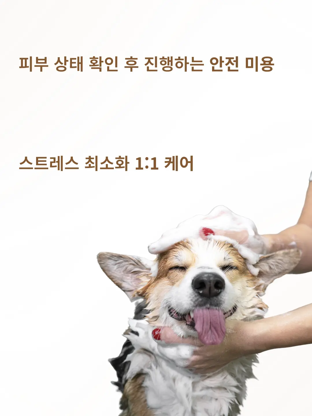 이미지 12