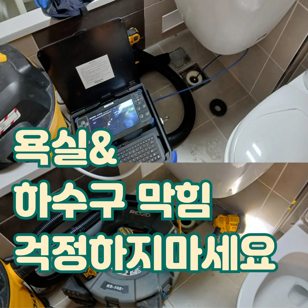 이미지 12