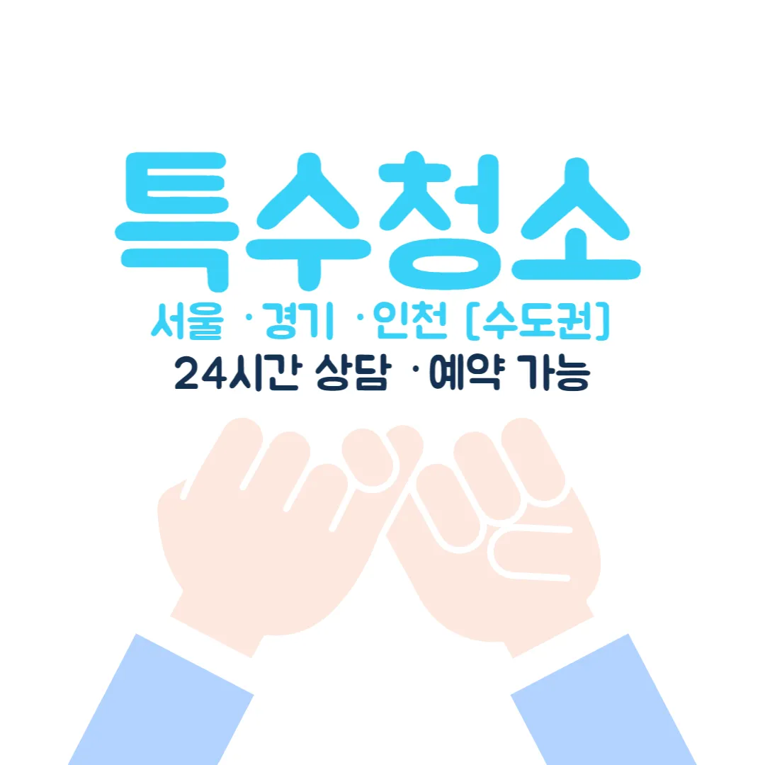 이미지 11