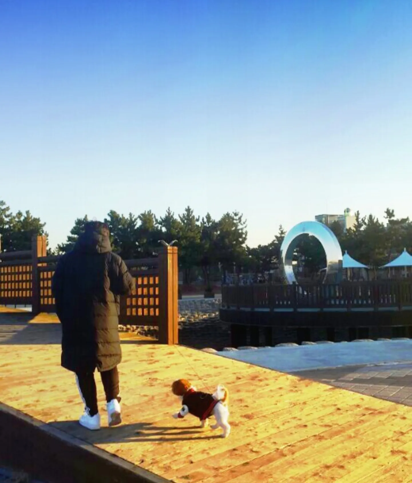 이미지 6
