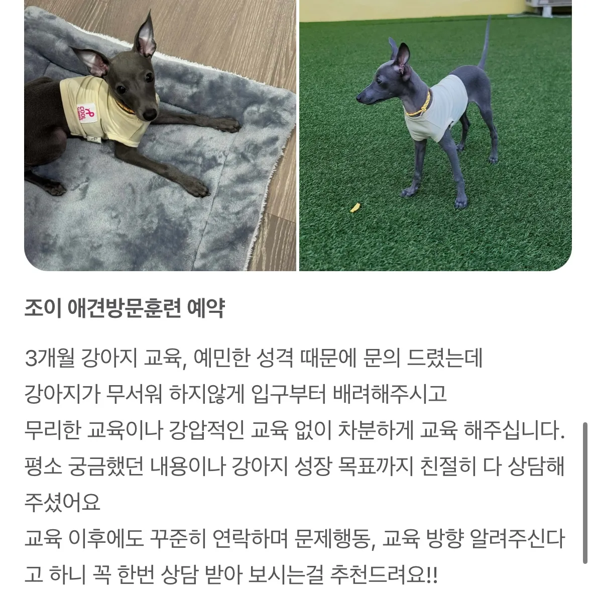 이미지 7
