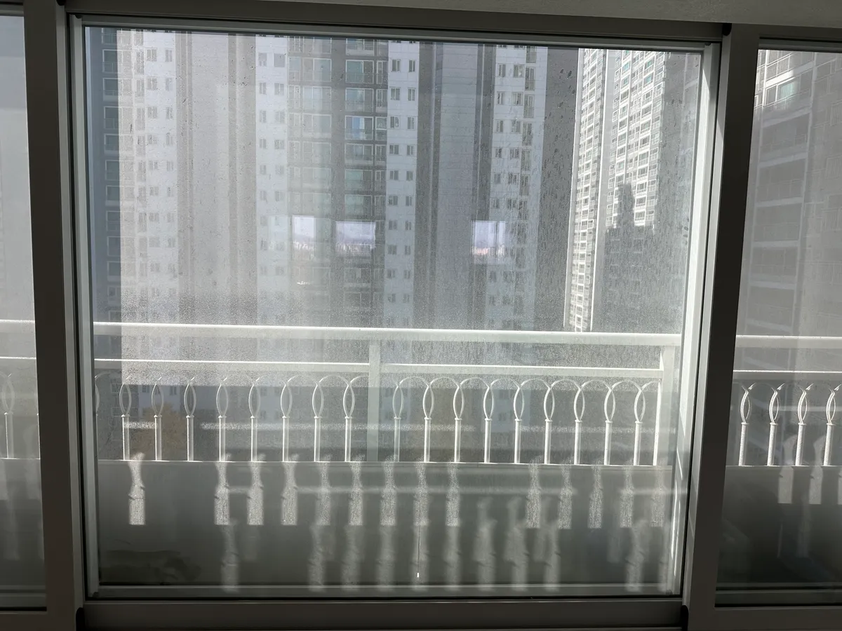 이미지 4