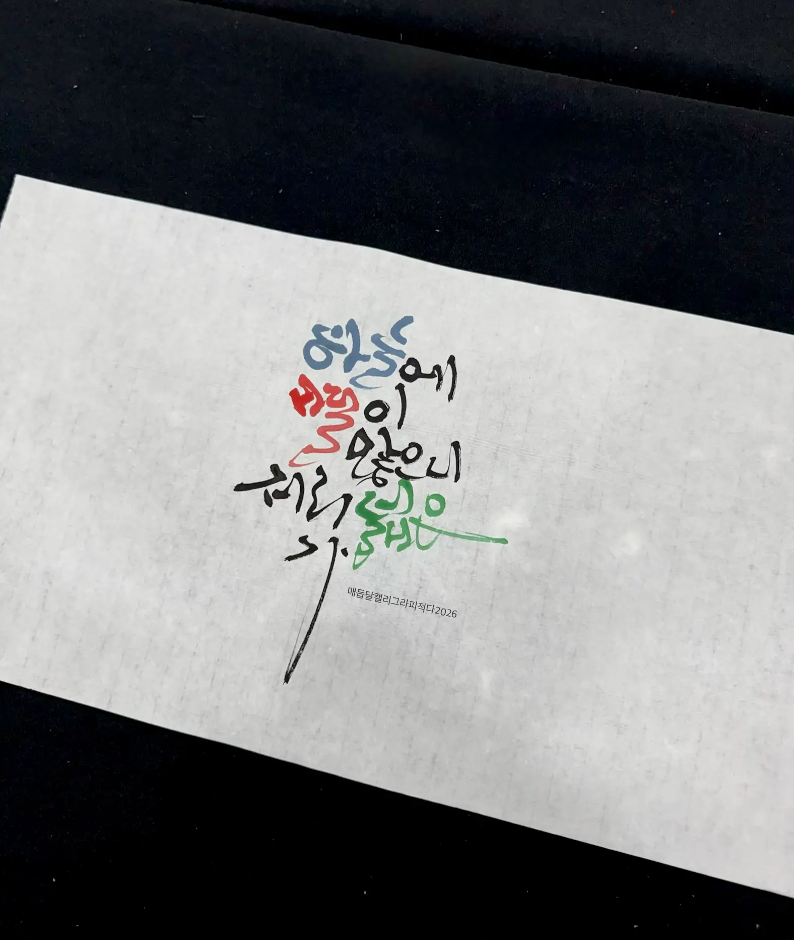 이미지 16