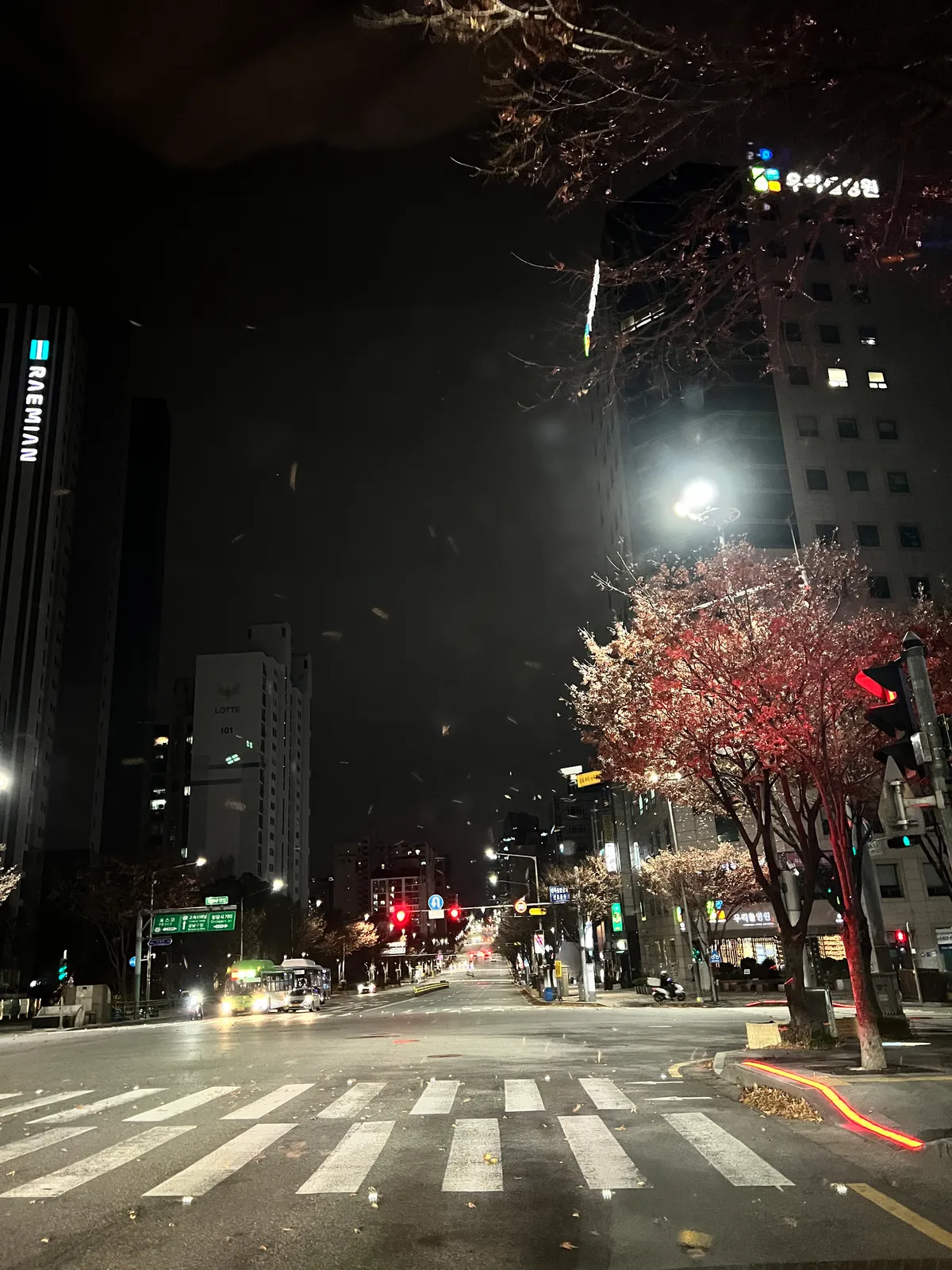 이미지 11