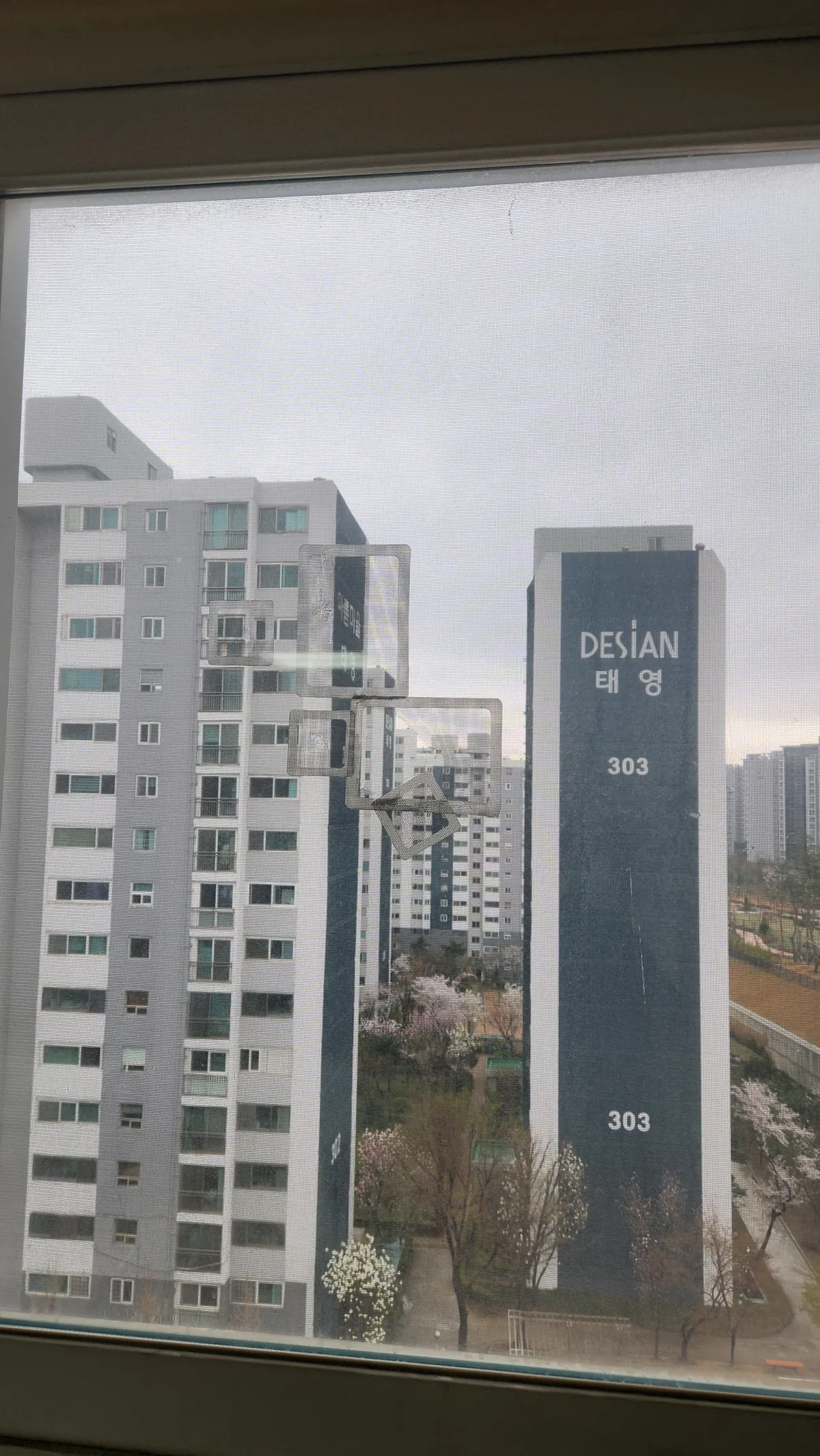 이미지 12