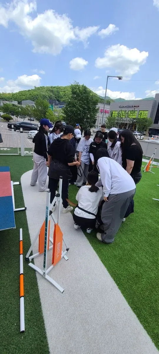 이미지 9