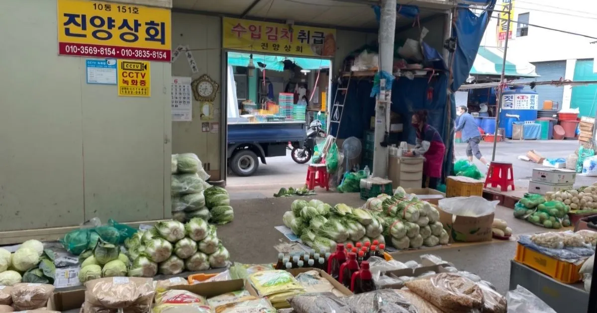 야채일절 식자재 납품 전문가 / ㄱ 백지훈 새벽시장진양상회 - 숨고, 숨은고수 야채일절 식자재 납품 전문가