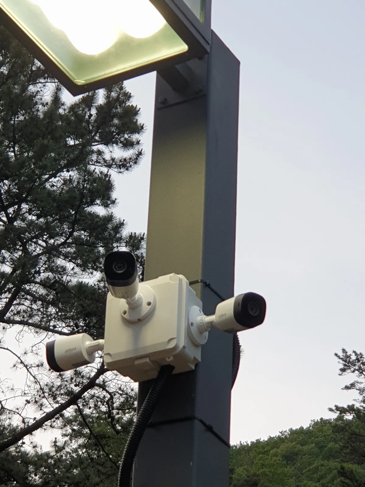 이미지 6