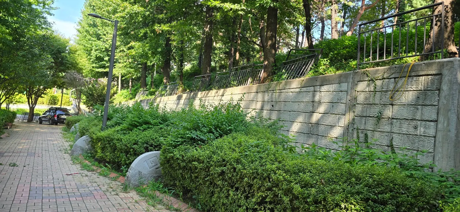 이미지 4