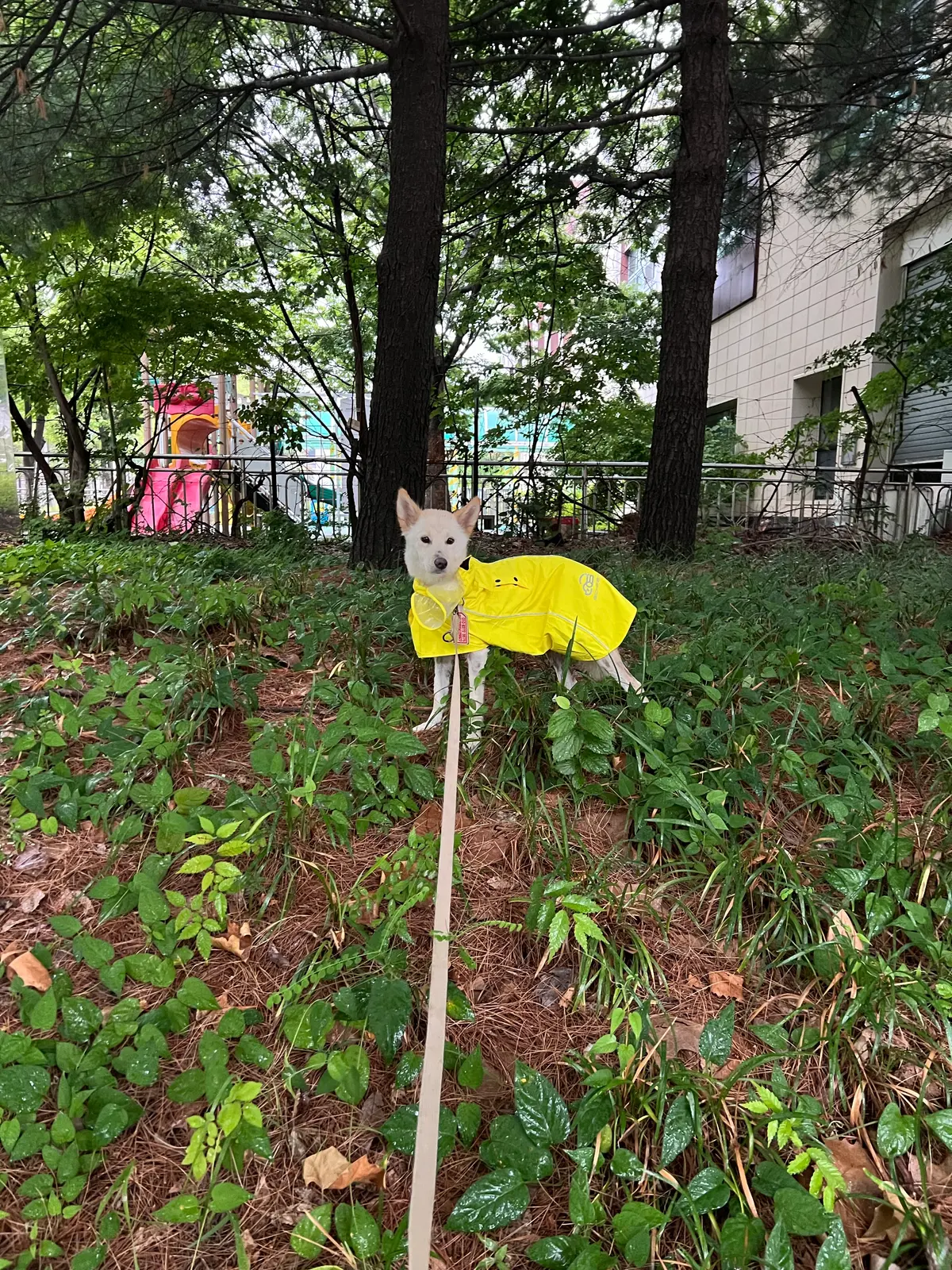 이미지 11