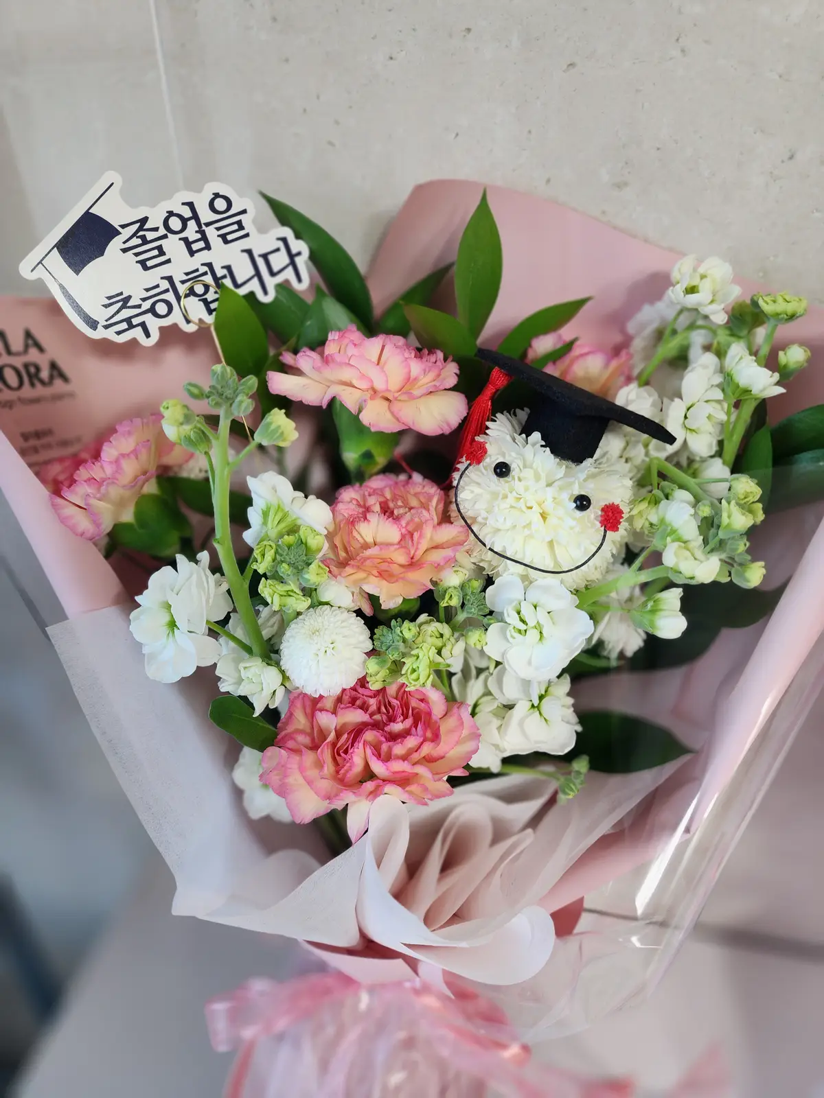 이미지 5