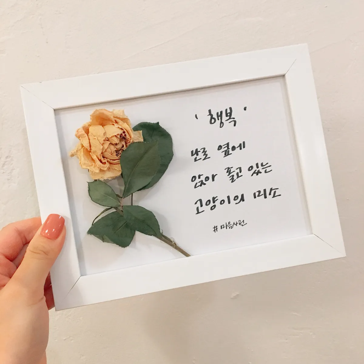 이미지 9